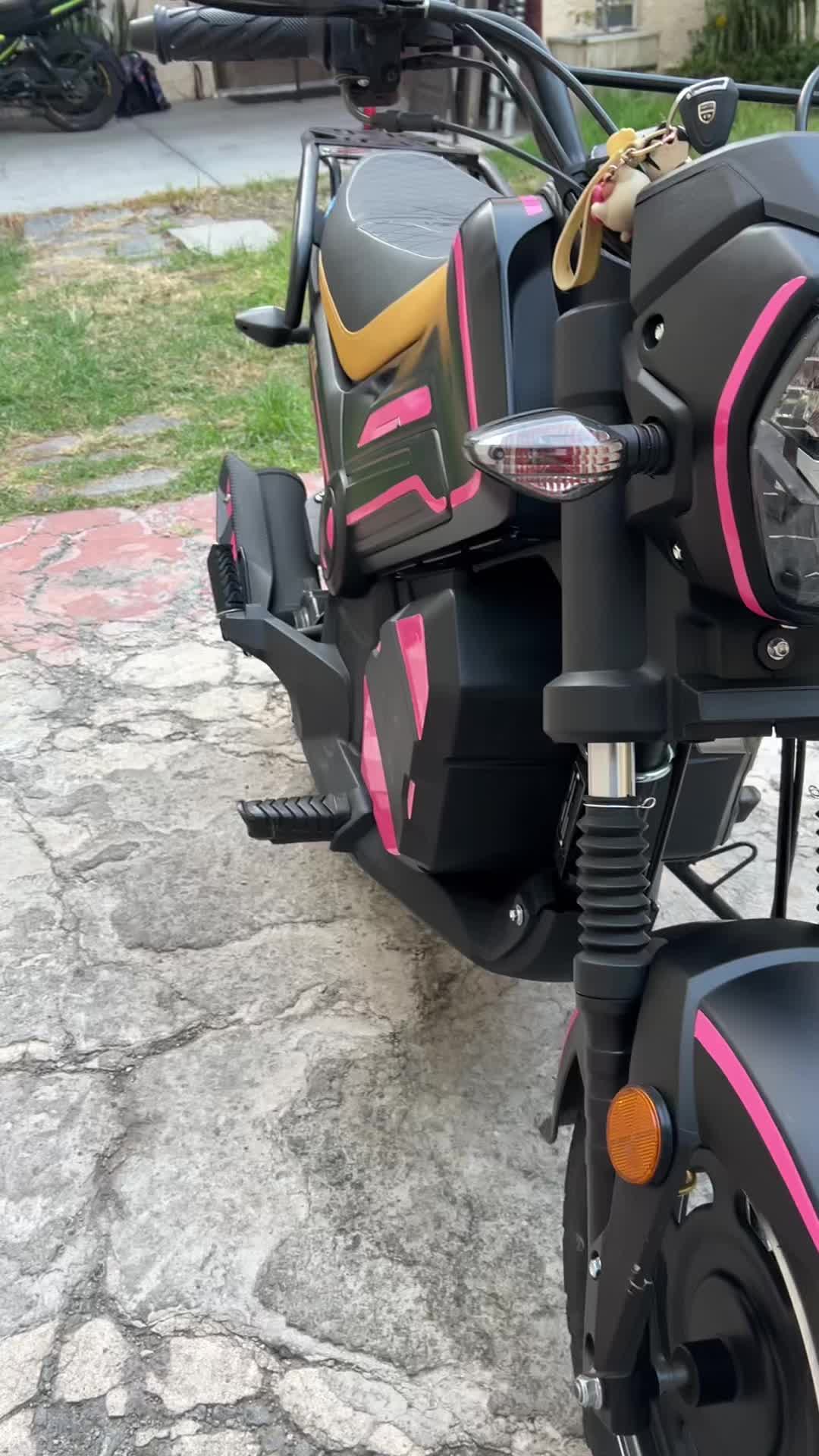 @Kraken Wraps Mx 🦑