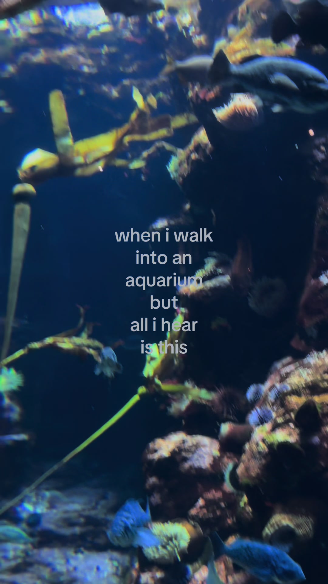 @☆