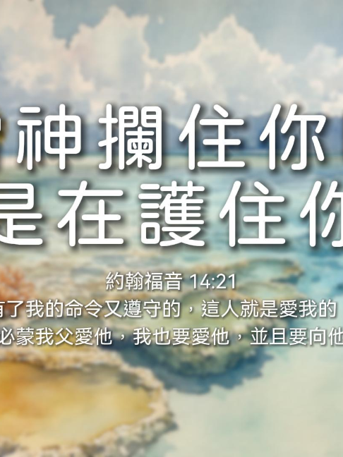 @LFC活力生命