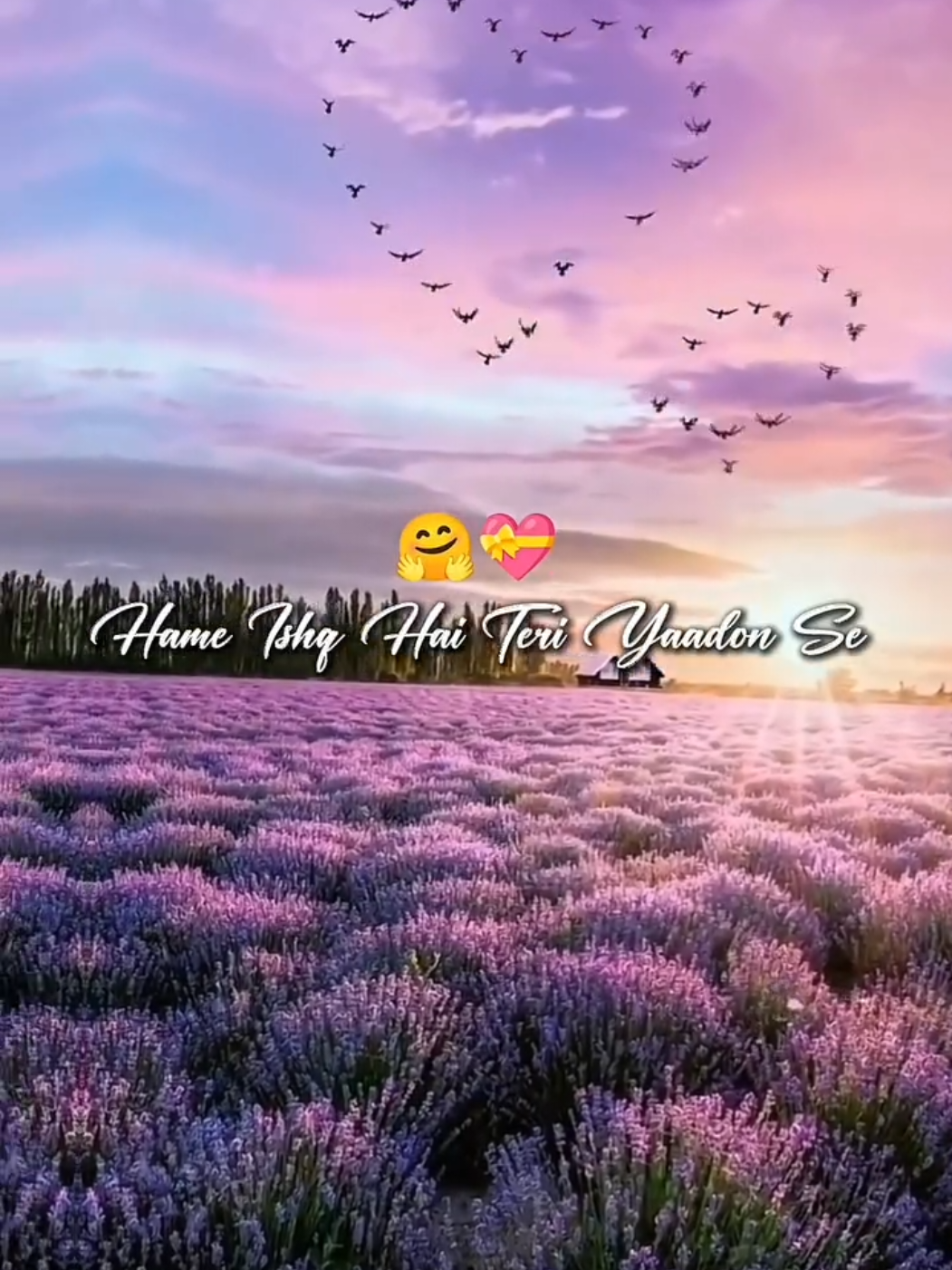 @🦋⃟Akash♡_Hun_Yr🖇️🤍