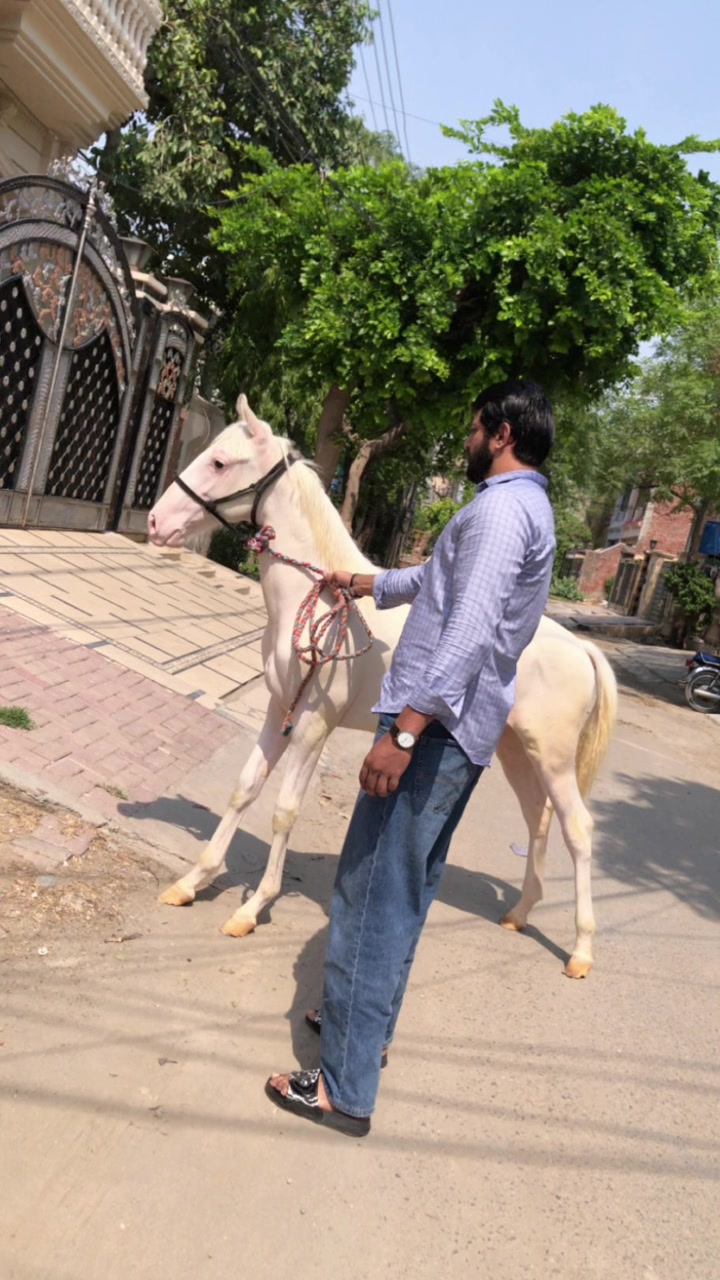 @Omer Qureshi