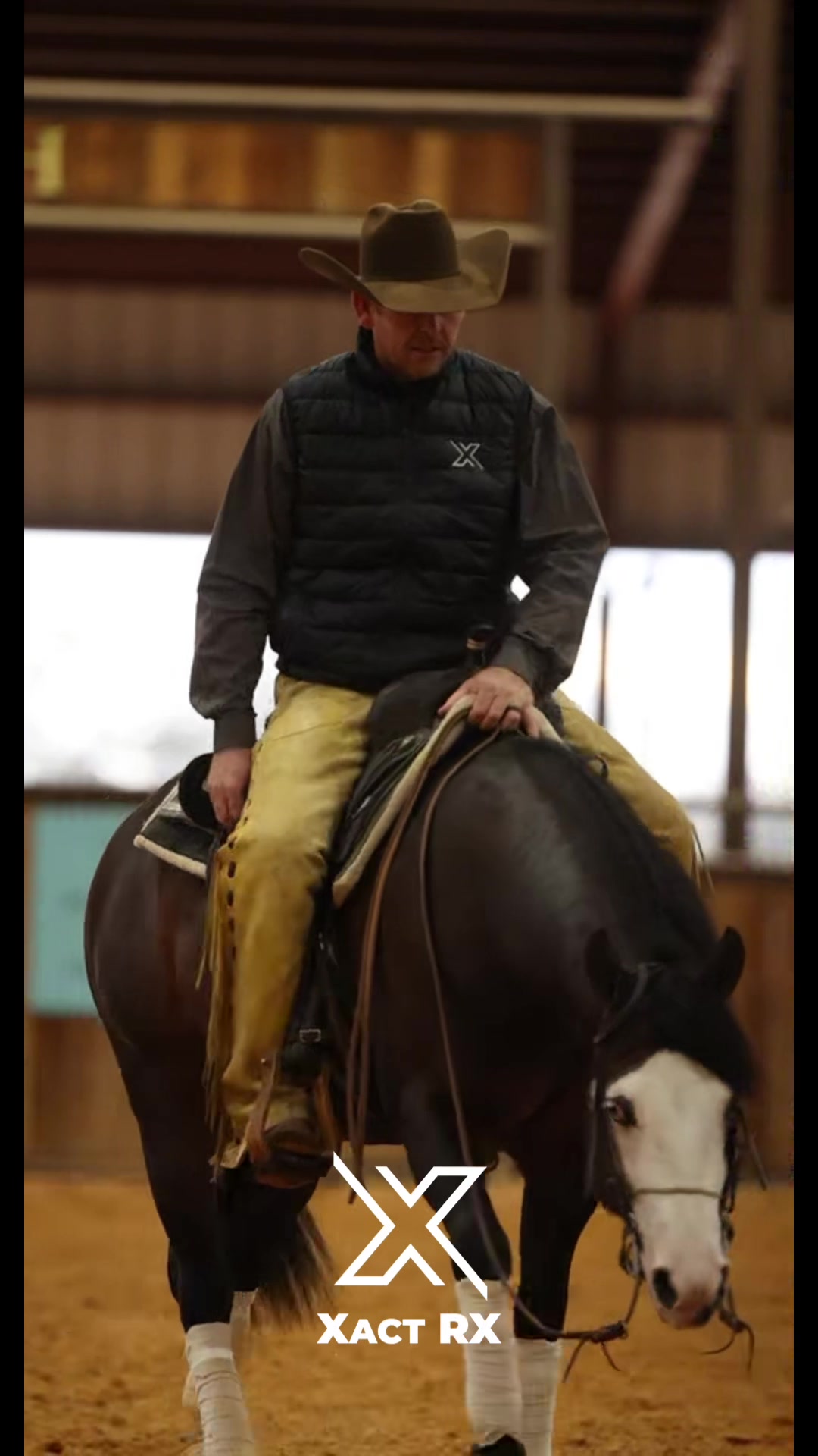 @Larson Performance Horses