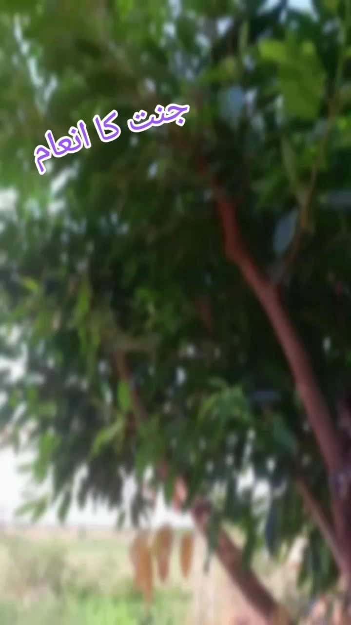 @MrEjaz543