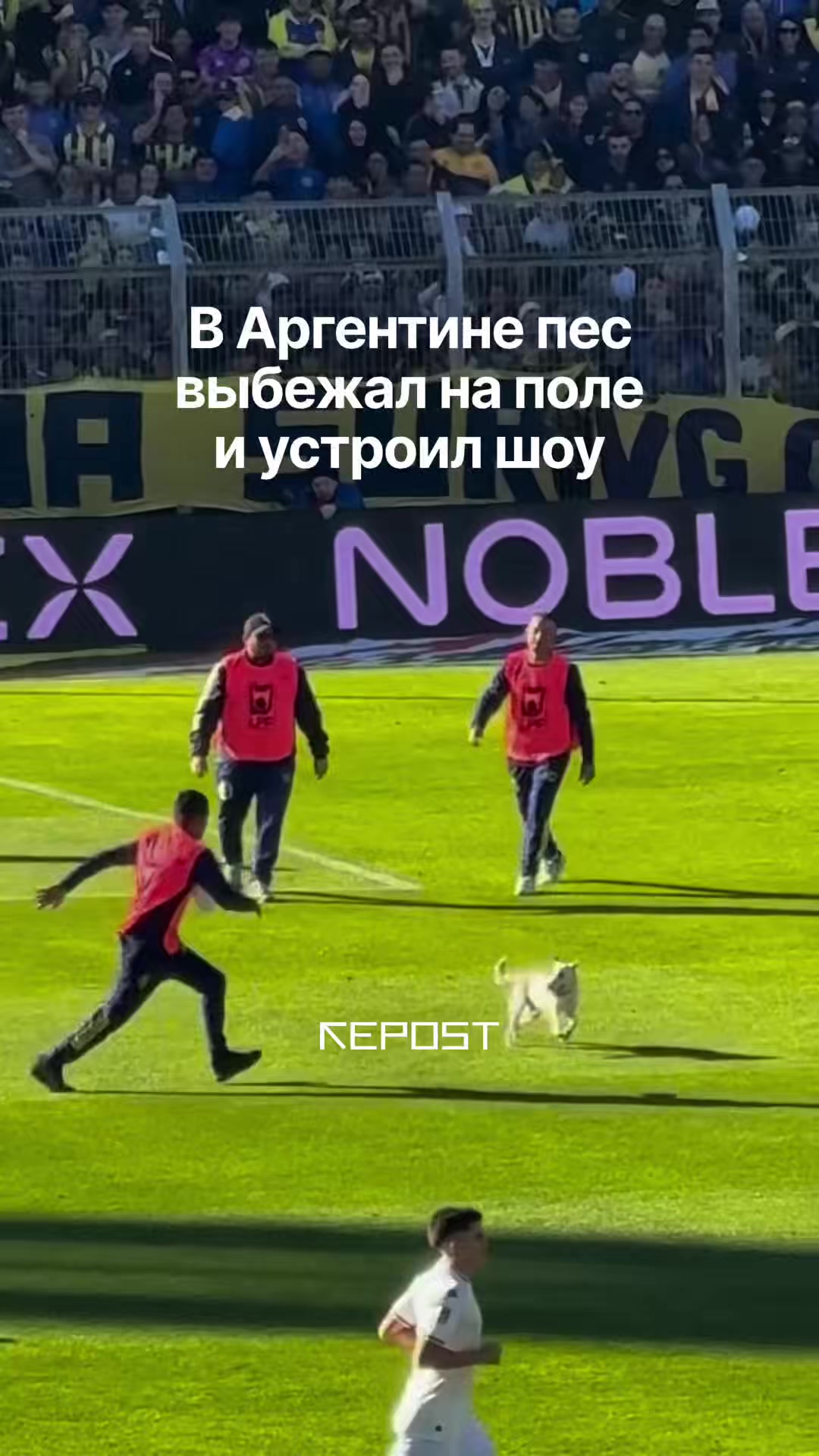 @Repost.uz