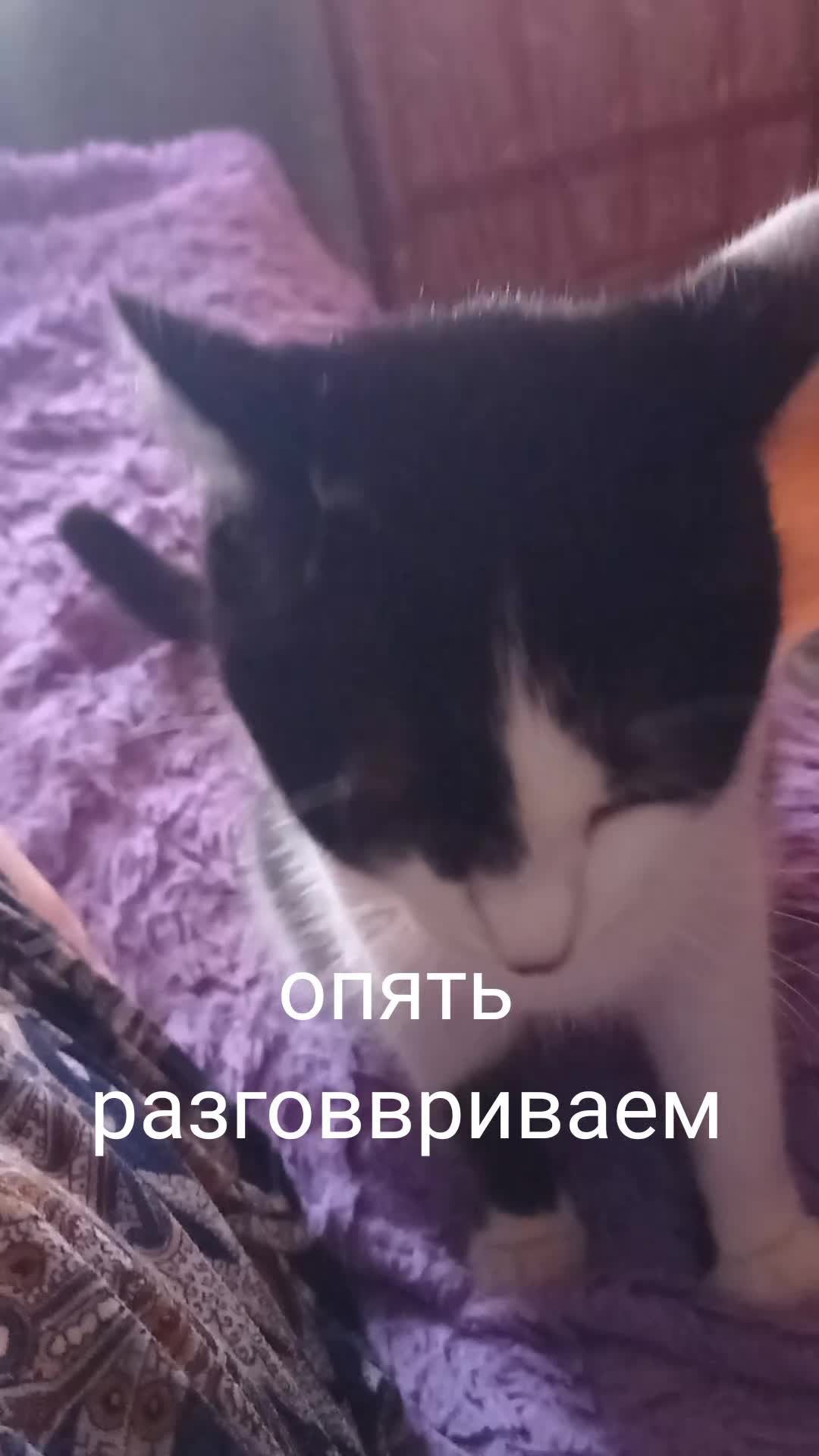 @УМКА