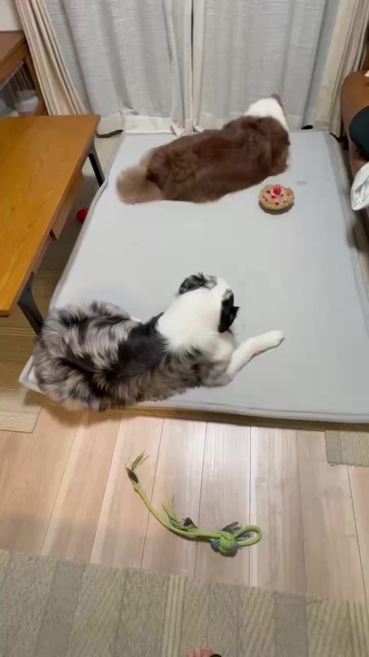 @サン&タマ