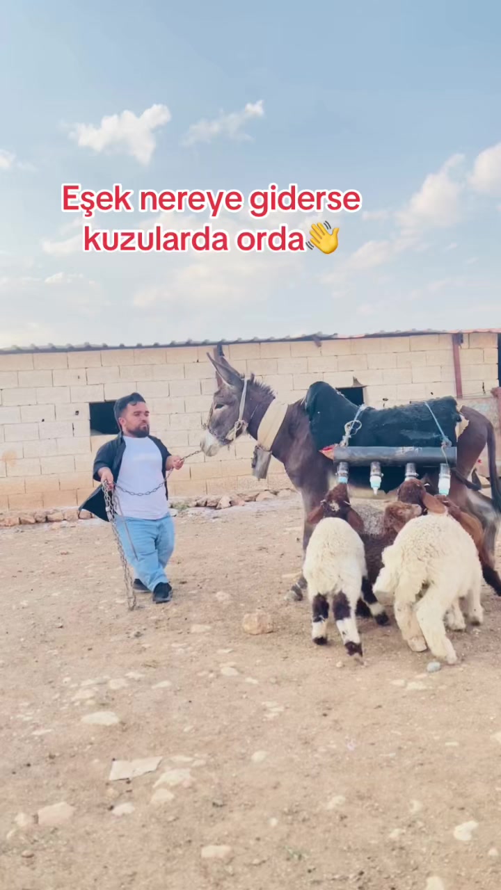 @SEDAT U&ccedil;&acirc;k|صدام العلي