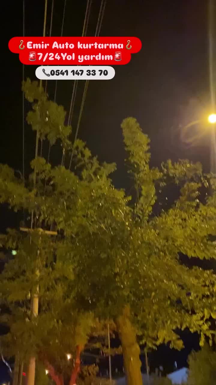 @Ozii70✨