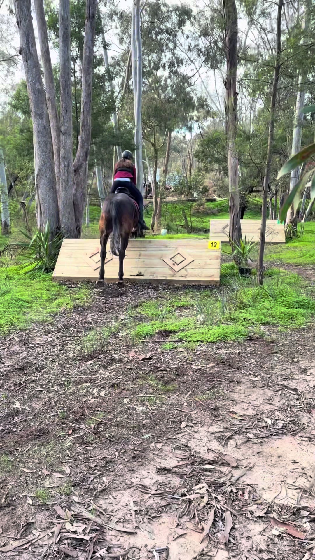 @t.equestrianxx