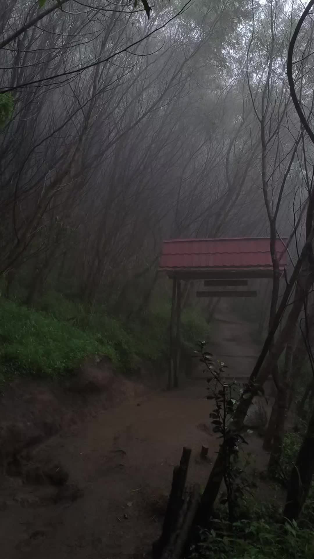 @𝑫𝒓. 𝑨𝒓𝒅𝒊𝒂𝒏_