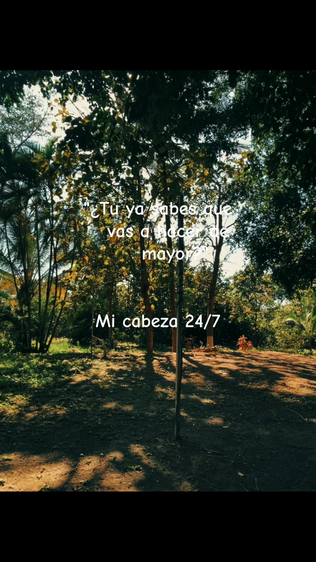 @𓇼 ⋆.˚ 𓆉𝓅𝒶𝓁𝒪𝑀𝒶 𓆡⋆.˚ 𓇼