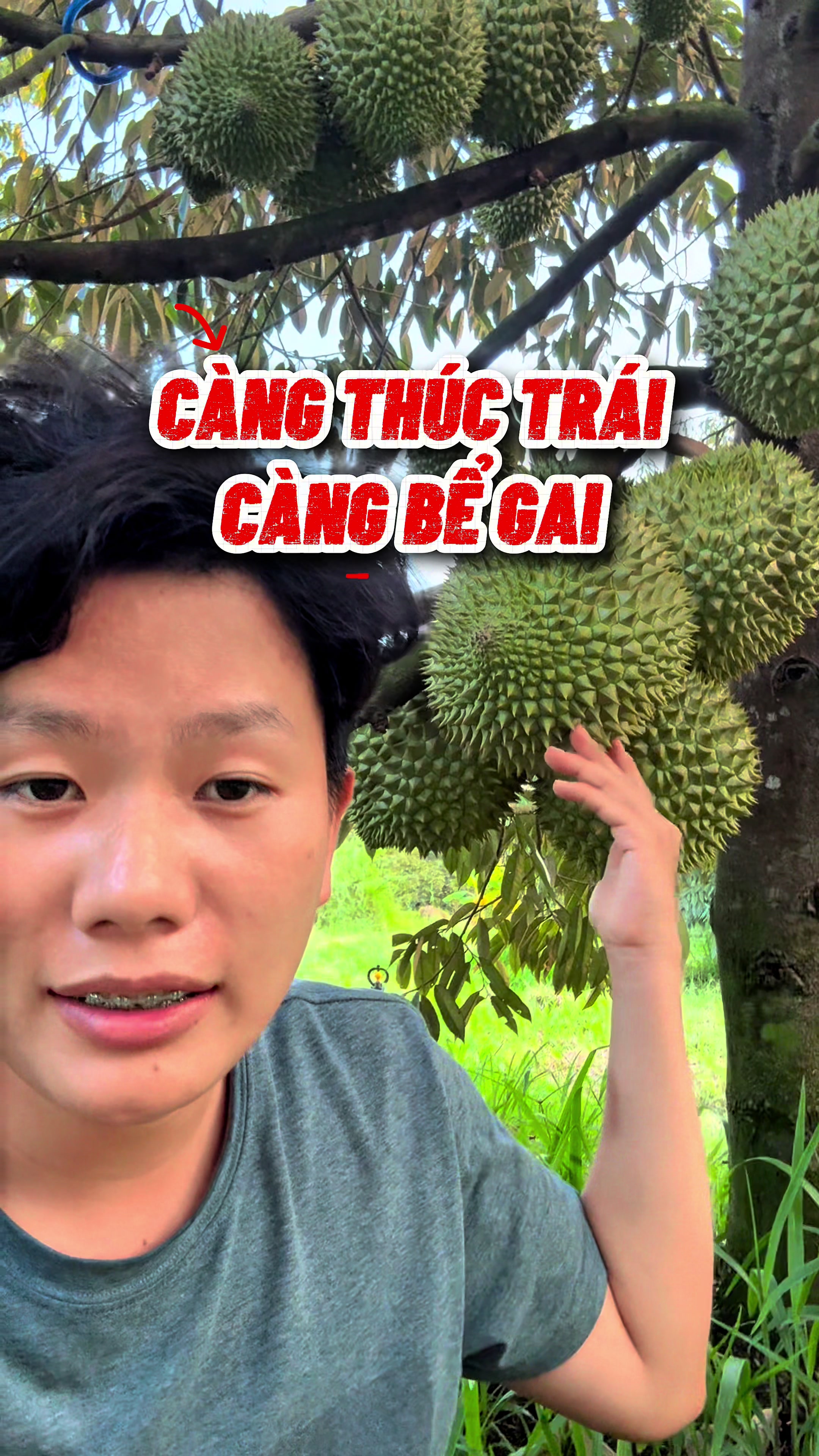 @Hưng Farm - Store