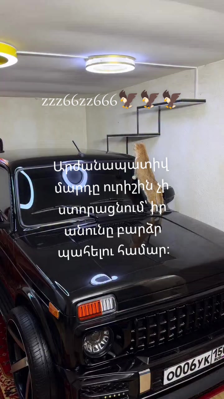 @✵𝐙𝐥𝐨𝐲_𝐨𝐟𝐟𝐢𝐜𝐢𝐚𝐥✵
