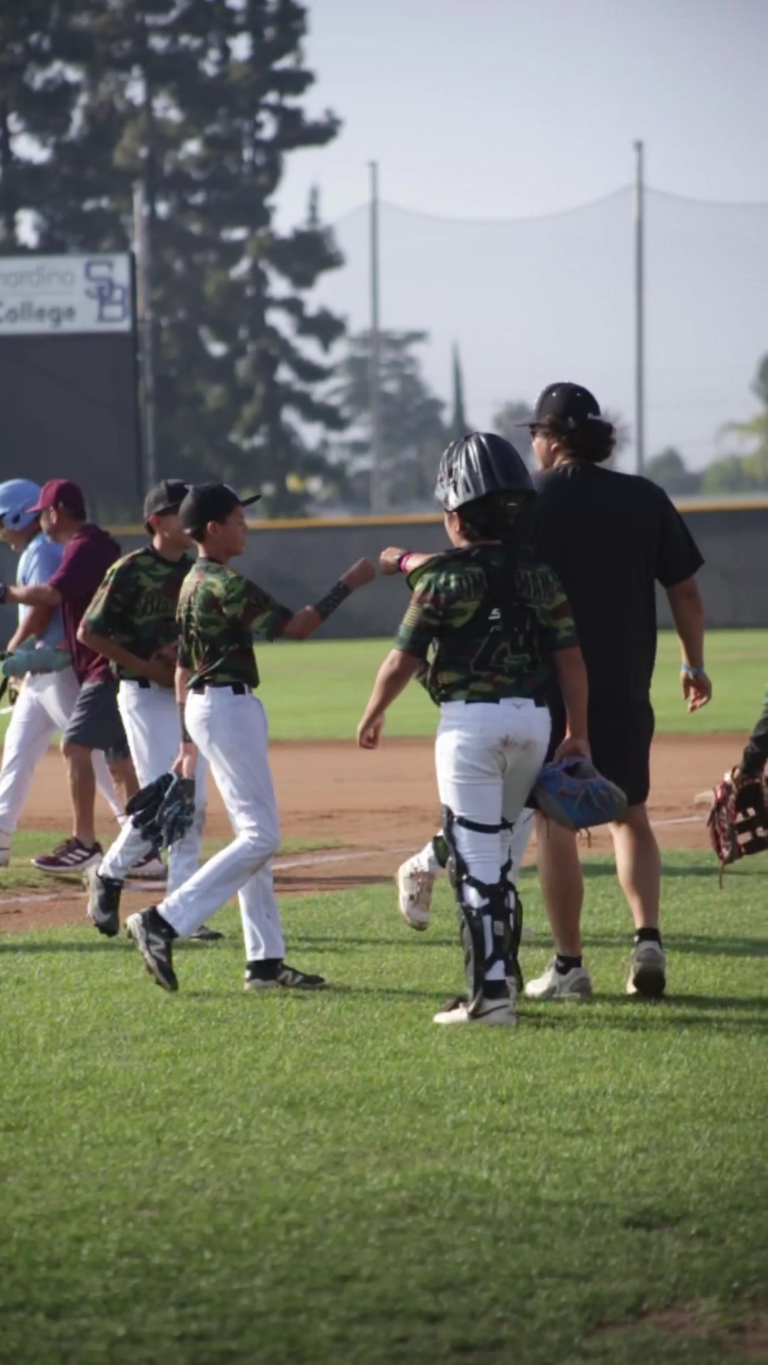 @wcblackdogs.ie