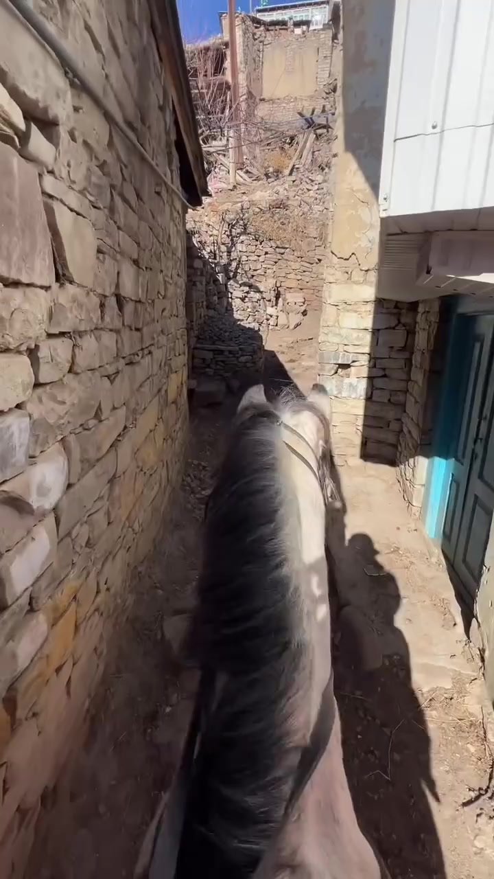 @qaqas015official