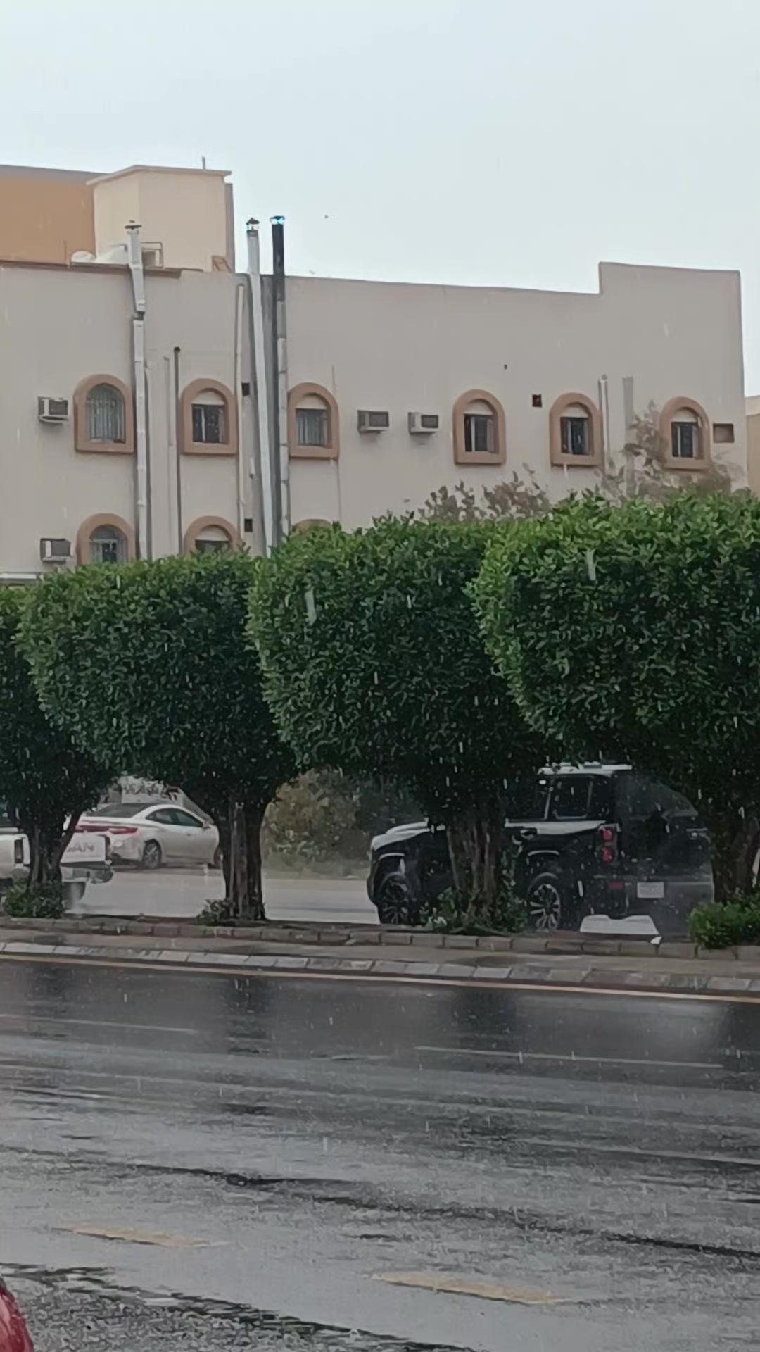 @عبدالكريم بن علي