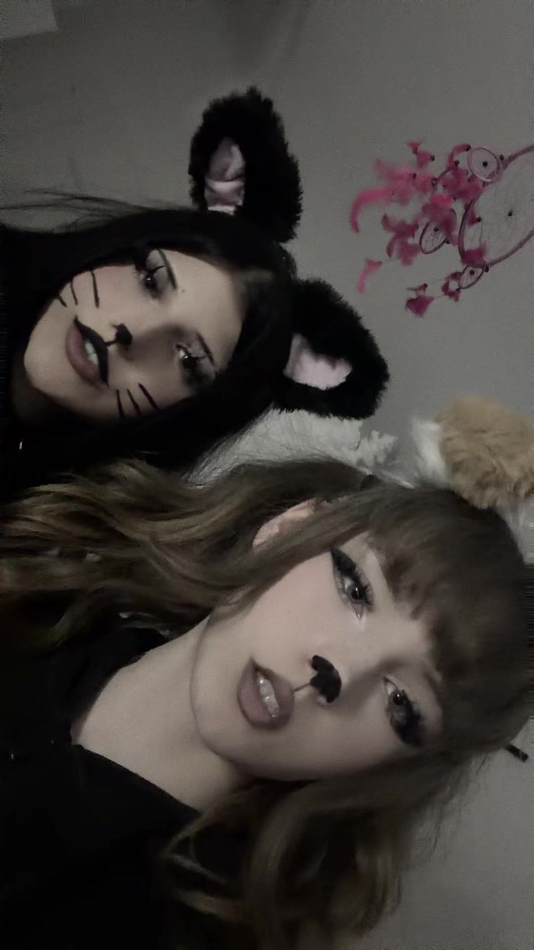 @kemonomimiheaven