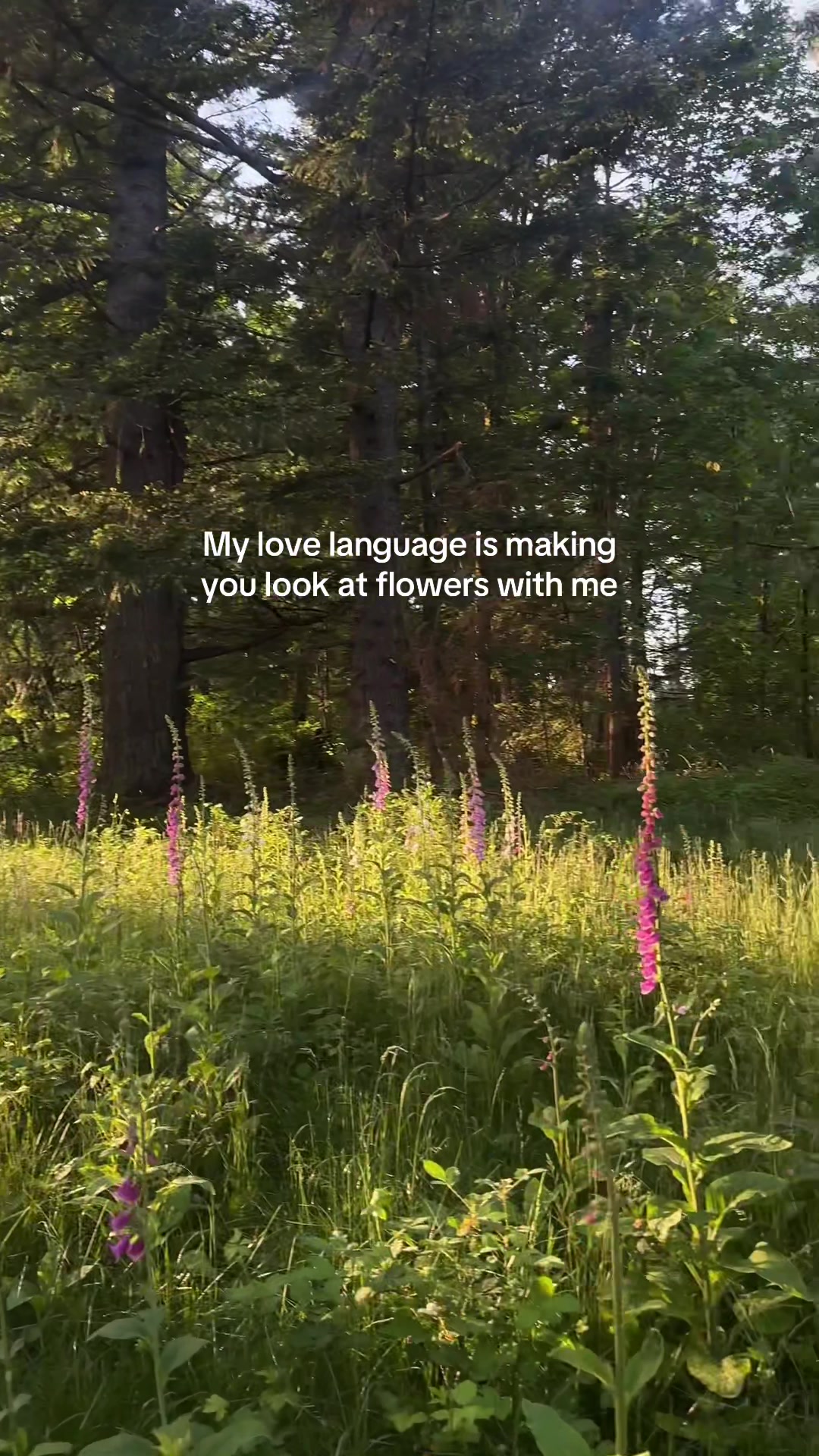 @Arielle