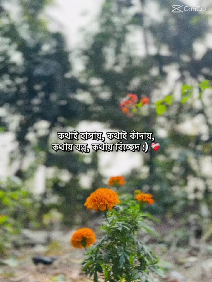 @👀... JINIYA... 🎀
