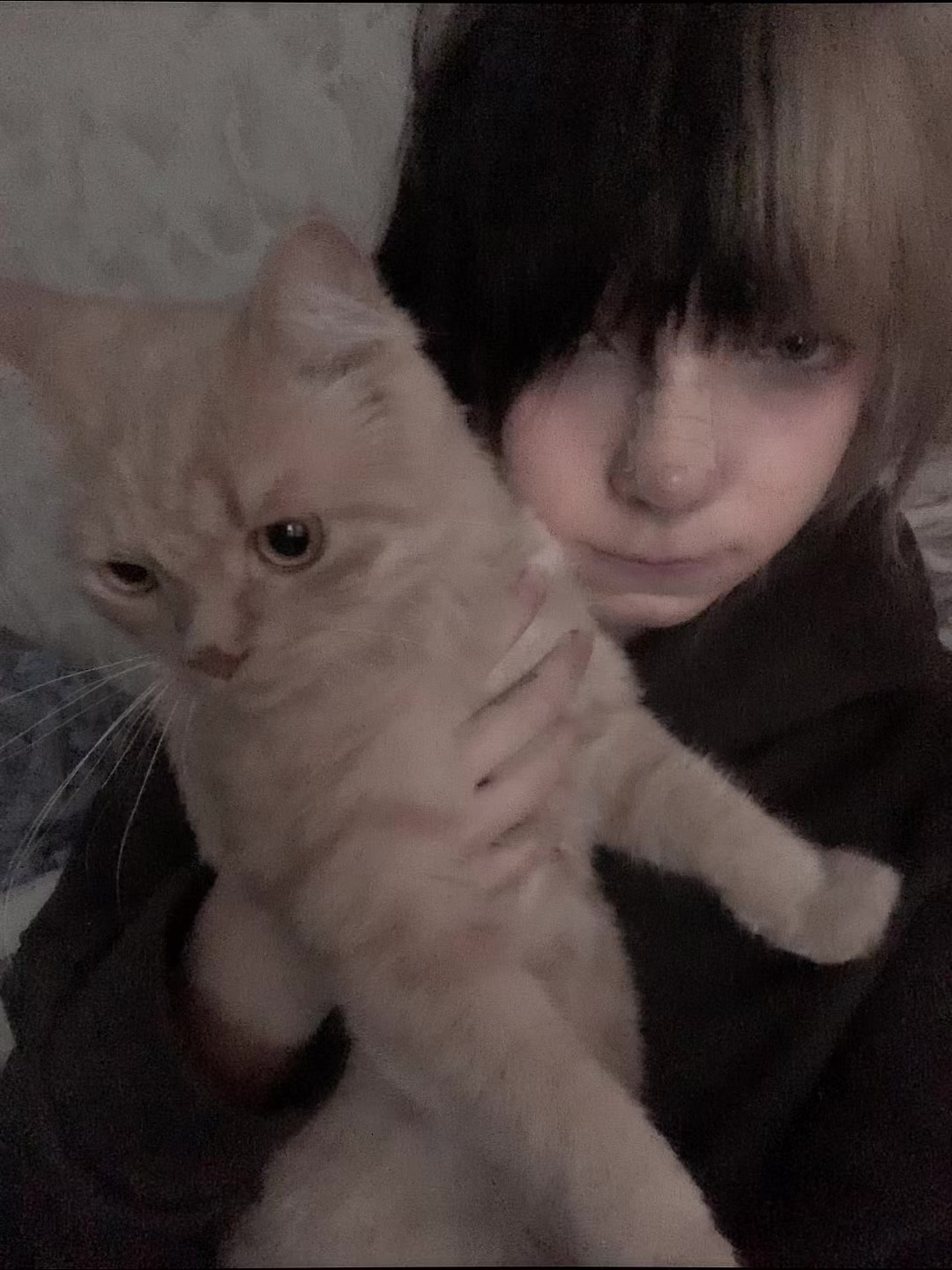@тгк: JUZZOED