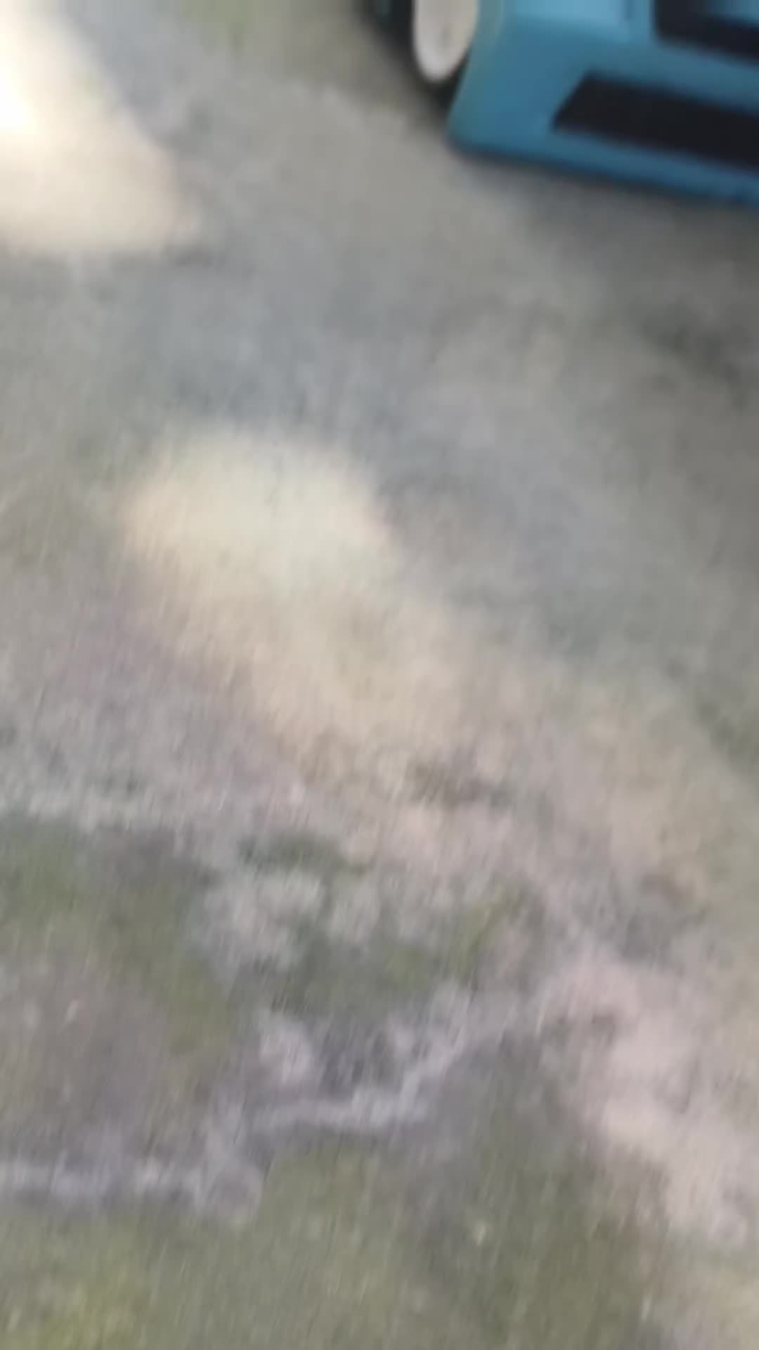 @𝙂𝙈𝙓 𝙂𝘼𝙍𝘼𝙂𝙀👽
