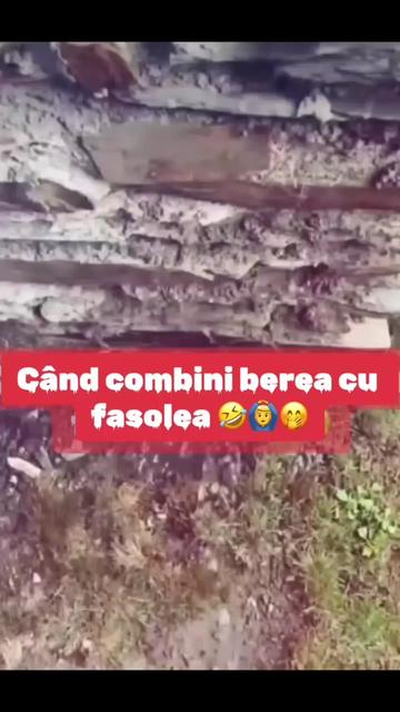 @Amantul fidel😉