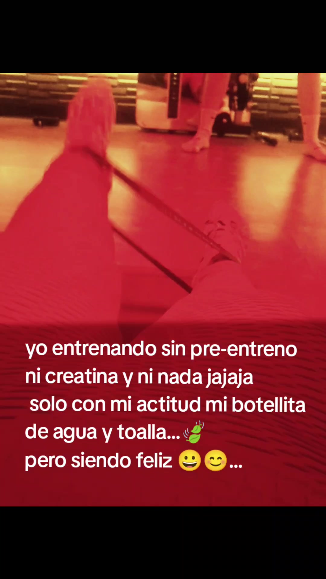 @stefyksta