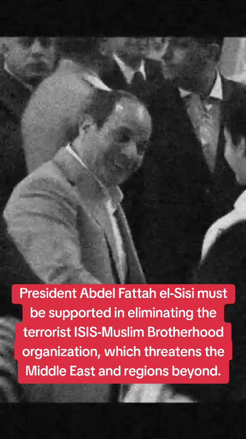 @الاستشاري ابراهيم محمد سلامة