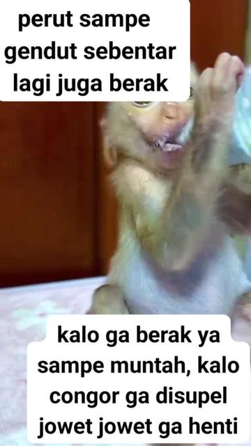 @babah zikri
