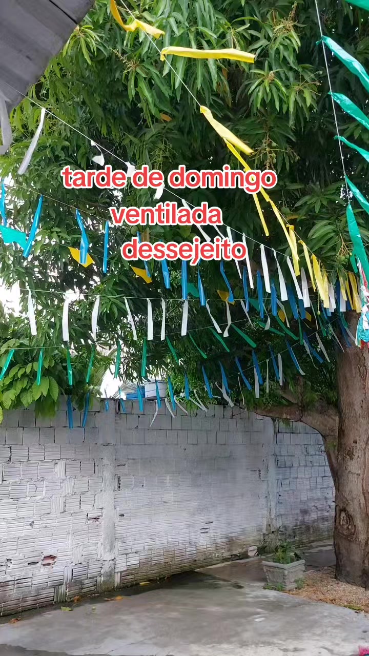 @Maria José Batista d