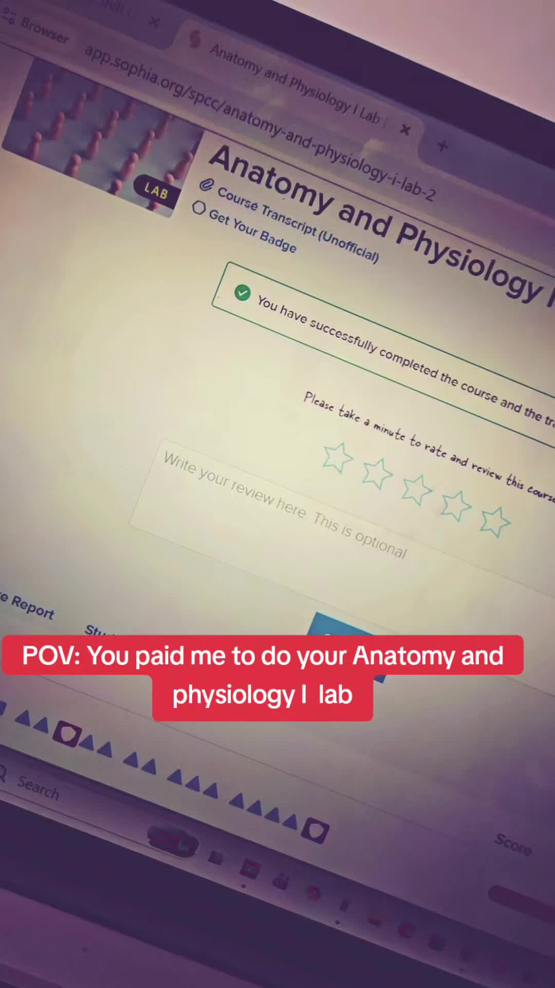 @The Homework Boy📚