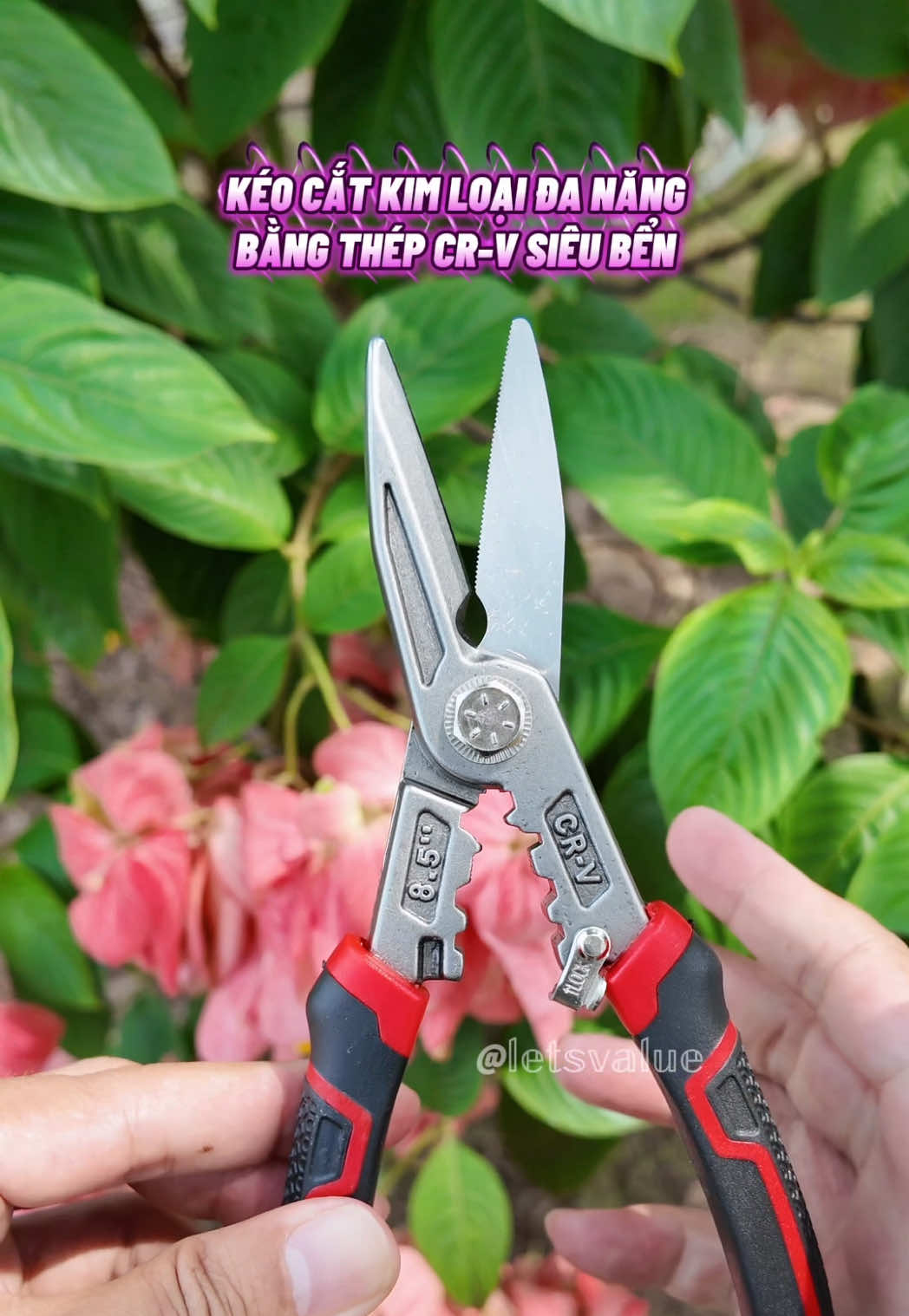 @𝕃𝔼𝕋’𝕊 𝕍𝔸𝕃𝕌𝔼