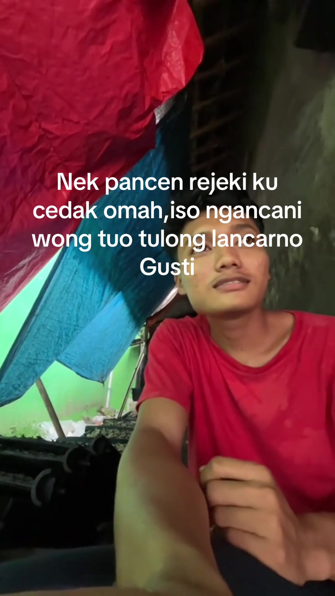 @Um. ikan