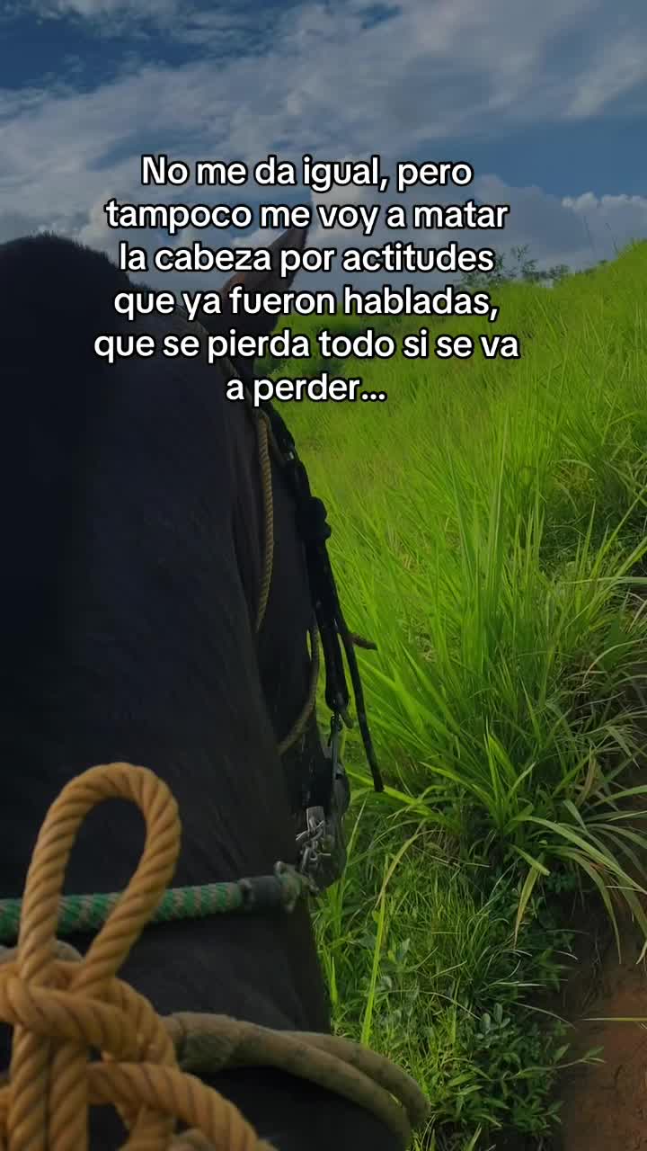 @🤍~Mãrtínëz~