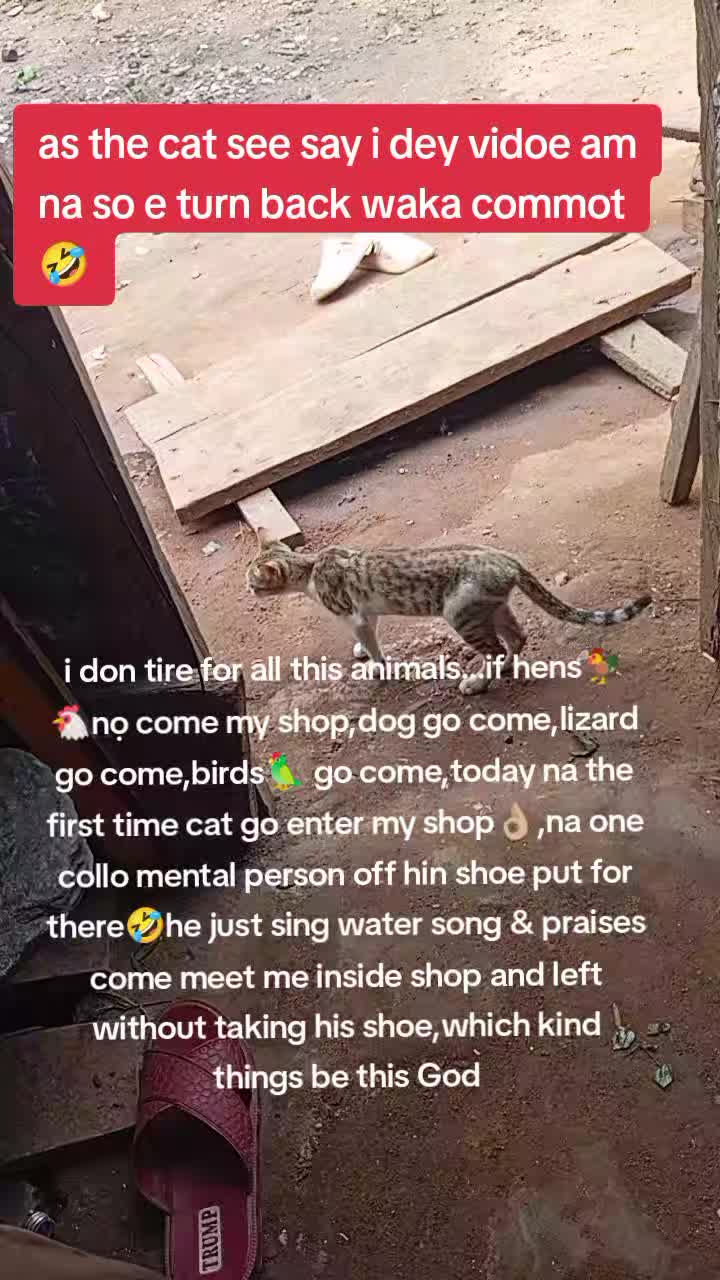 @EJA🐬 NLA SPIRITUAL & ALAGBO🫒