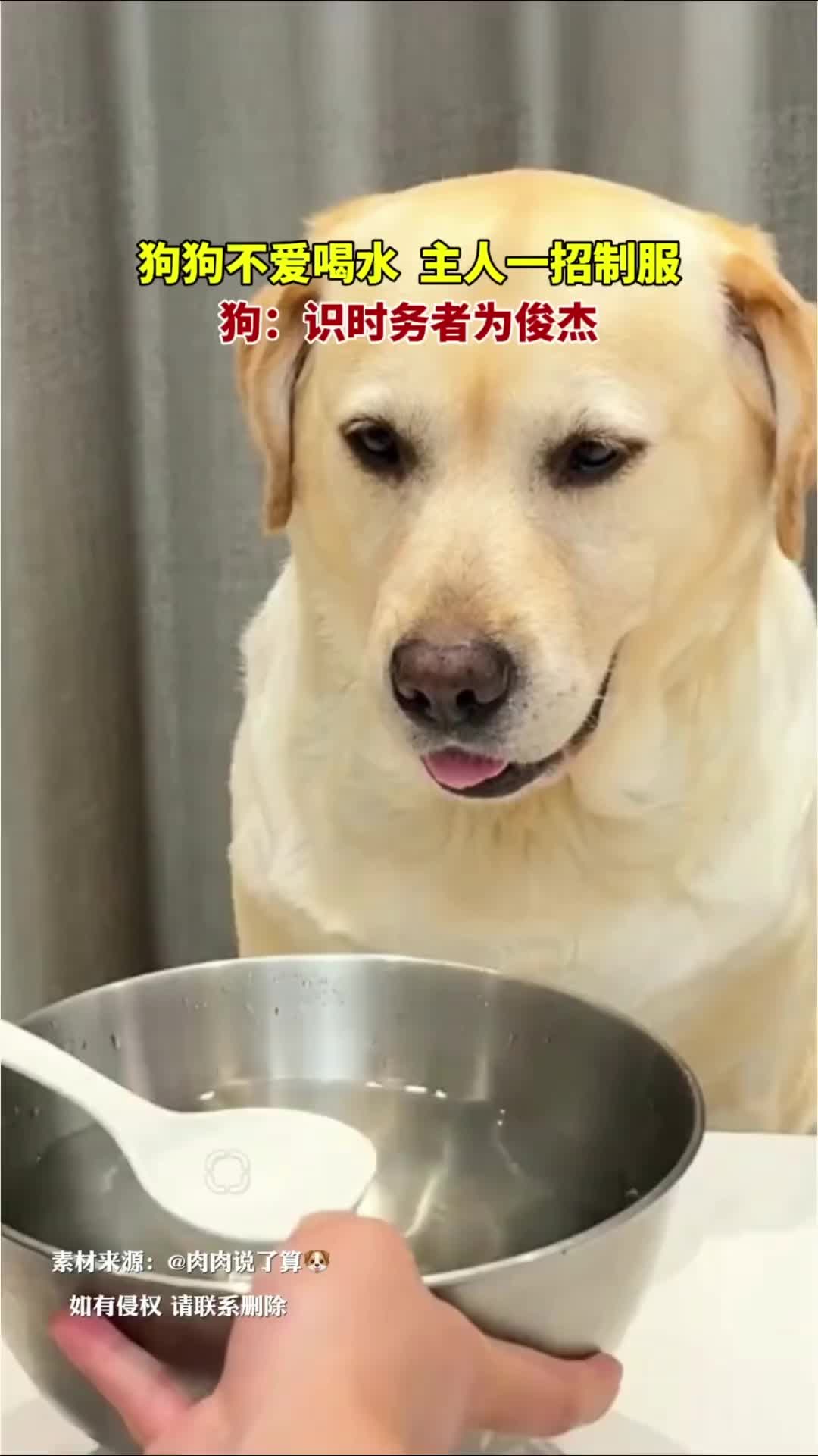 @中国蓝国际