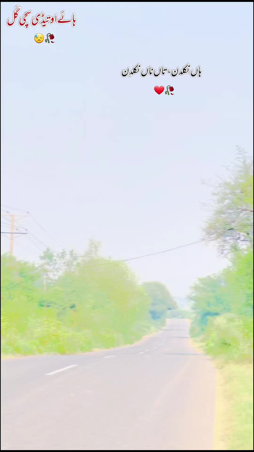 @انسی🥀