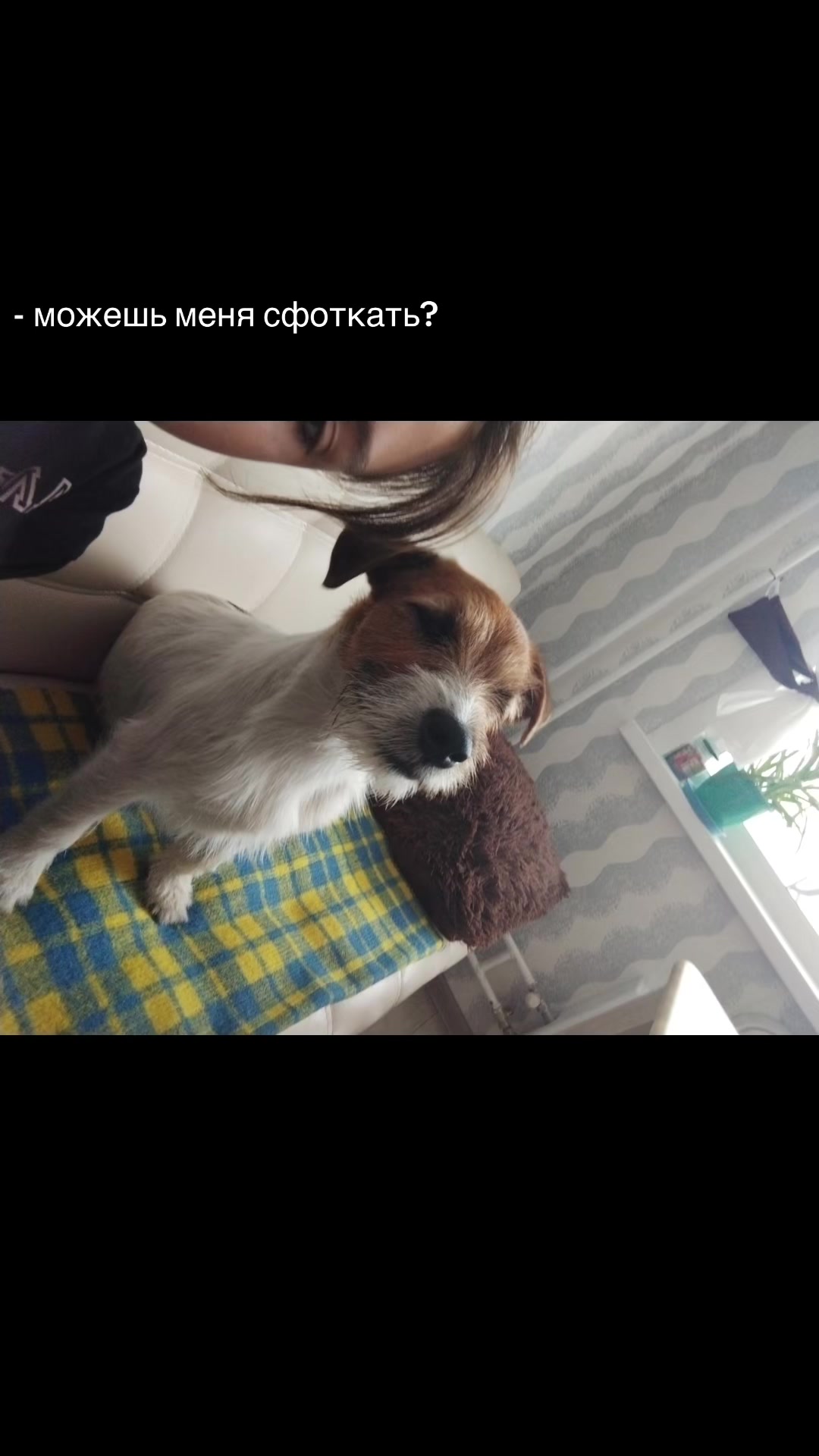 @xxxxxx