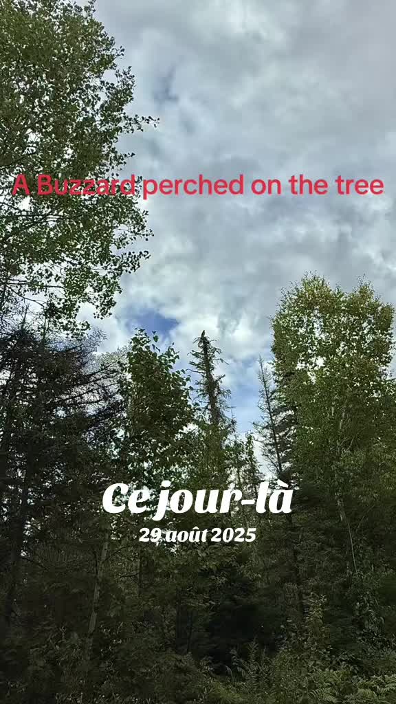 @26UN55