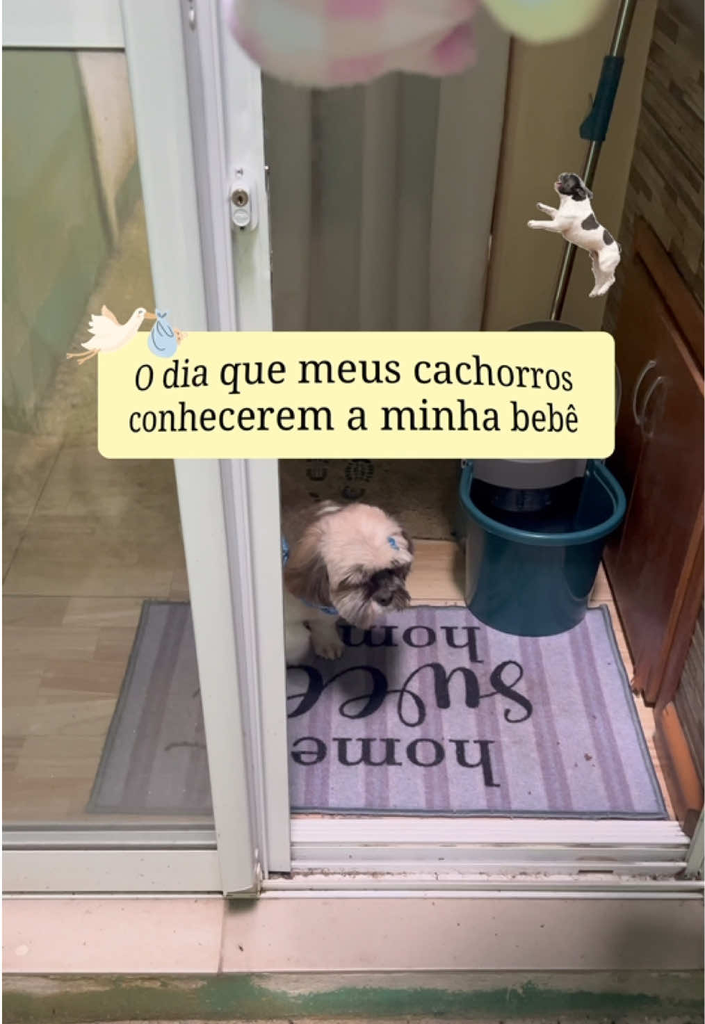 @Débora Anger