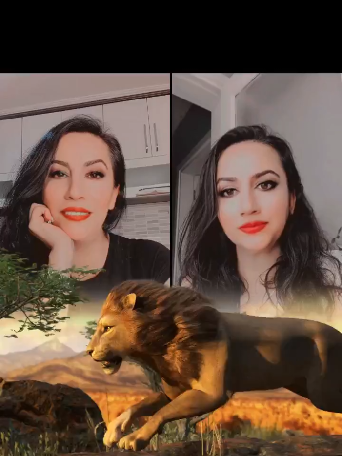 @sevda
