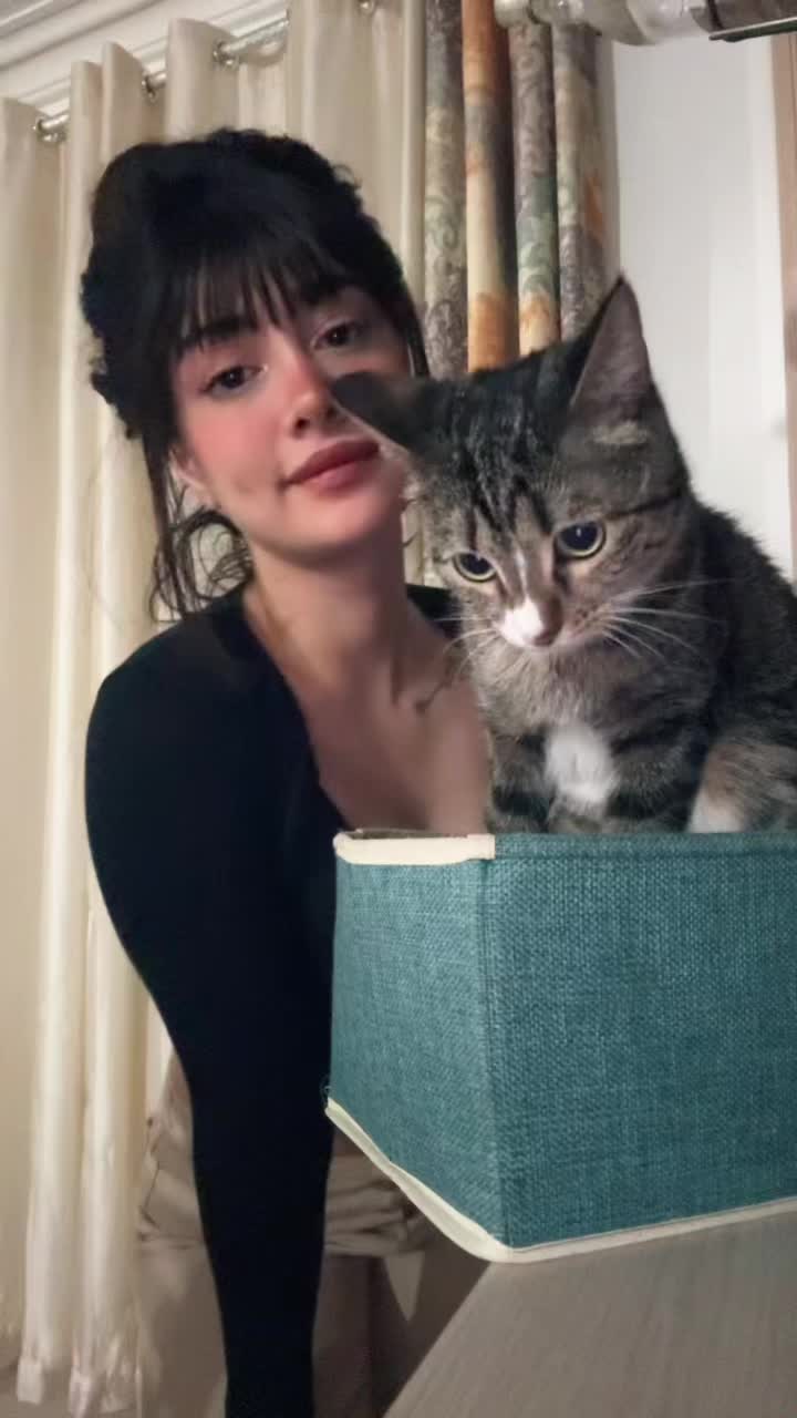@𝑆𝑡𝑎𝑦𝑤𝑖𝑙𝑑