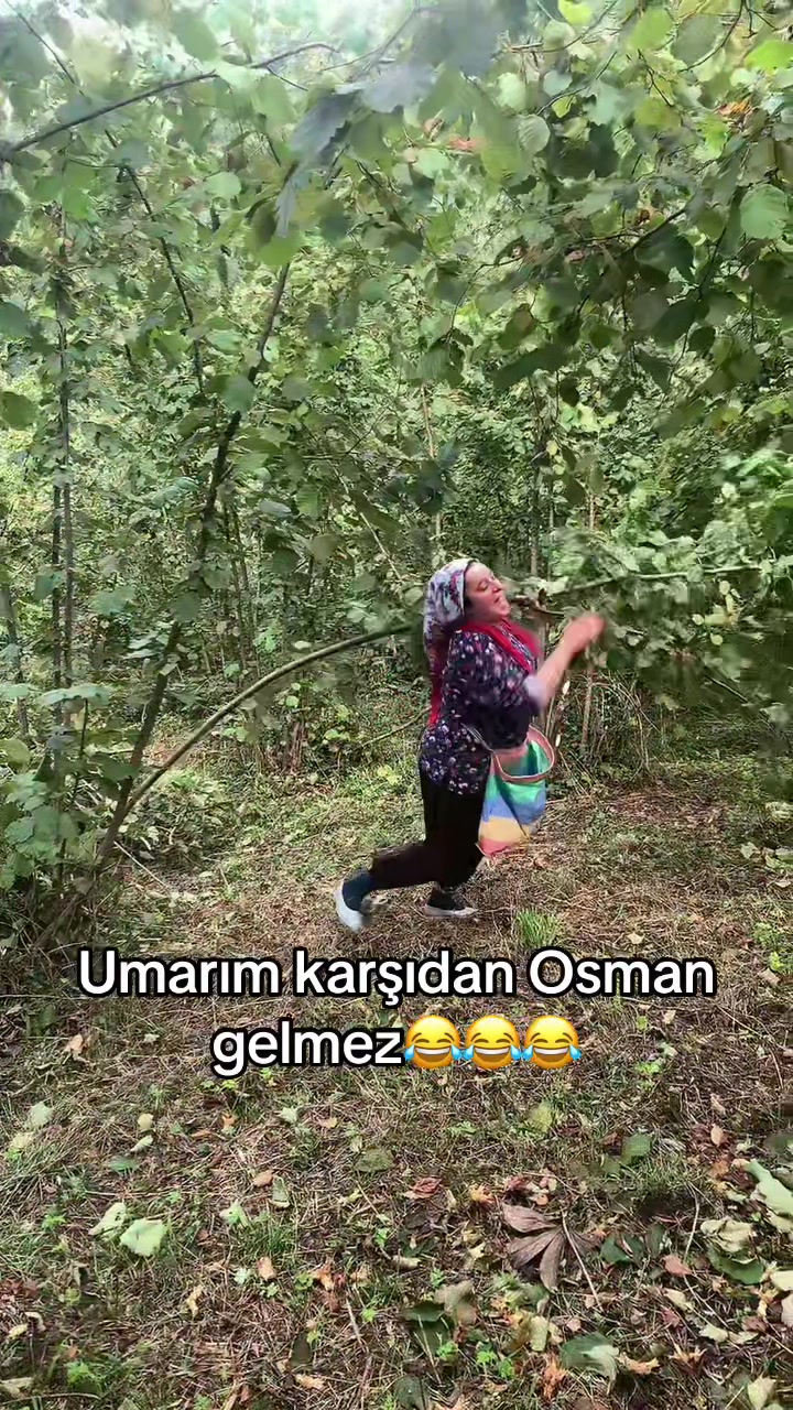 @3404AVŞİN