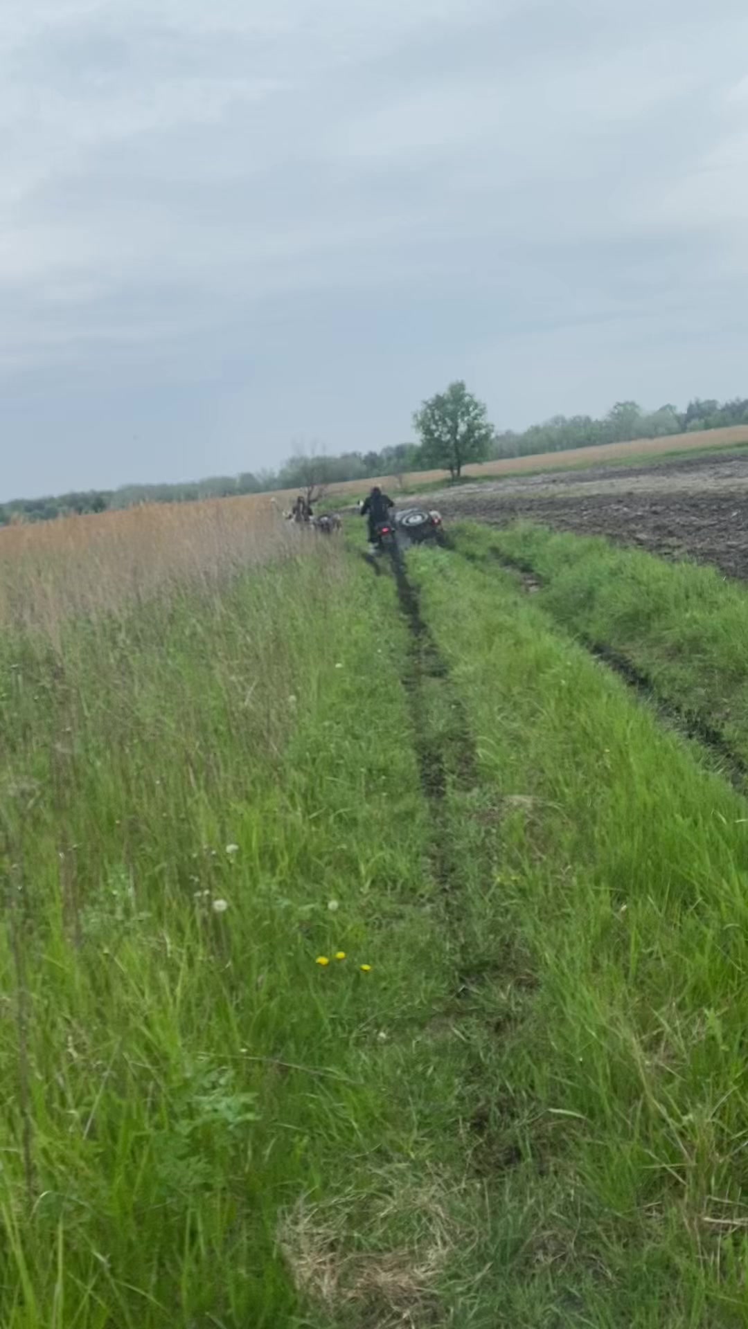 @Олексій Обуховський