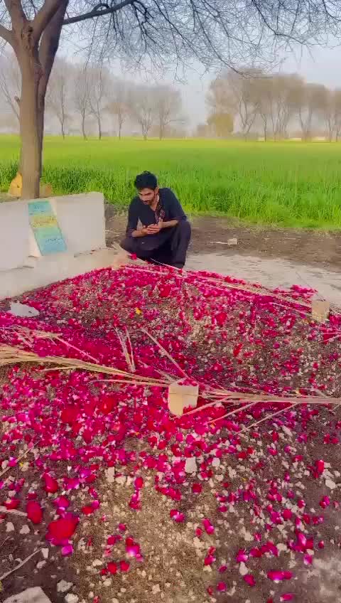 @Zeba Niazi