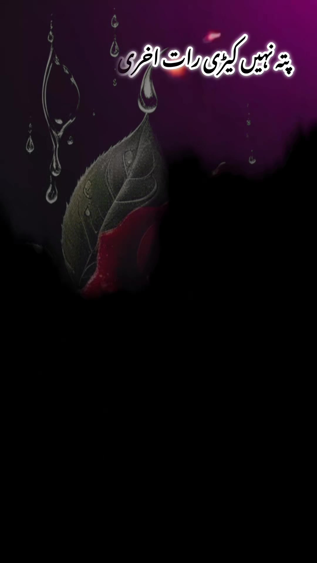 @𝐁𝐊𝐖𝐑𝐈𝐓𝐄𝐒 🫶🌹🦜