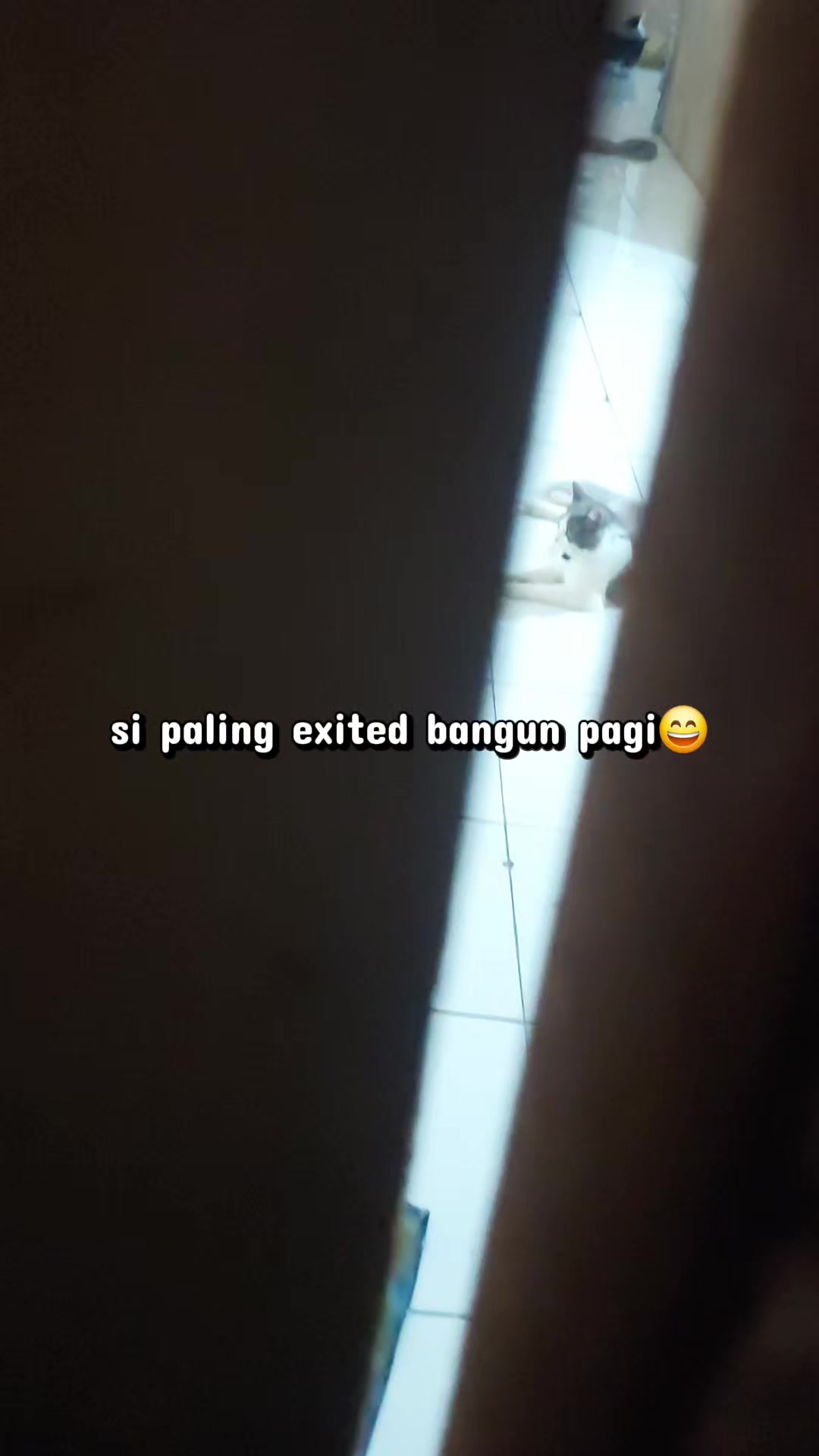 @Erni_marpaung