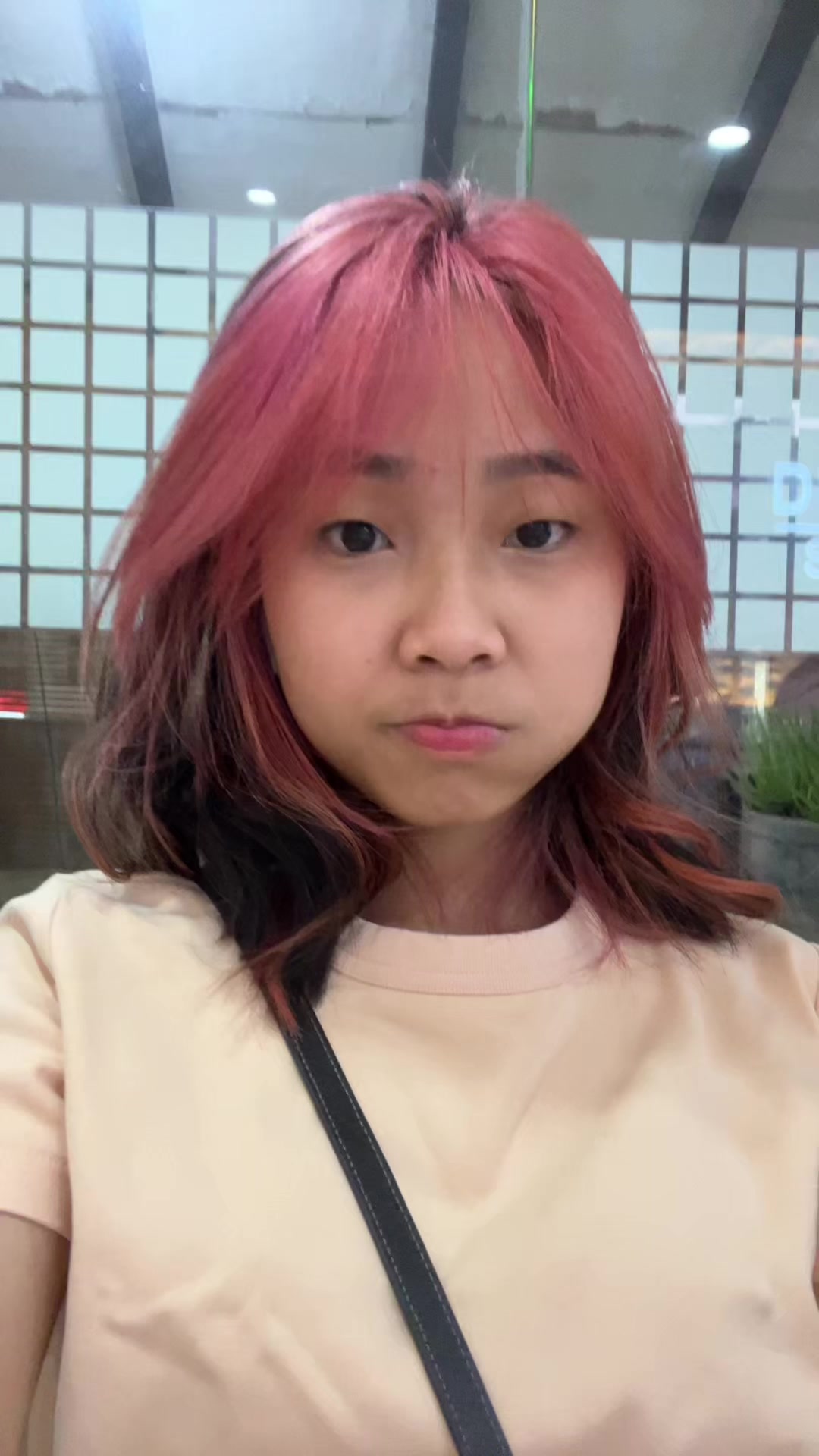 @icel🧊