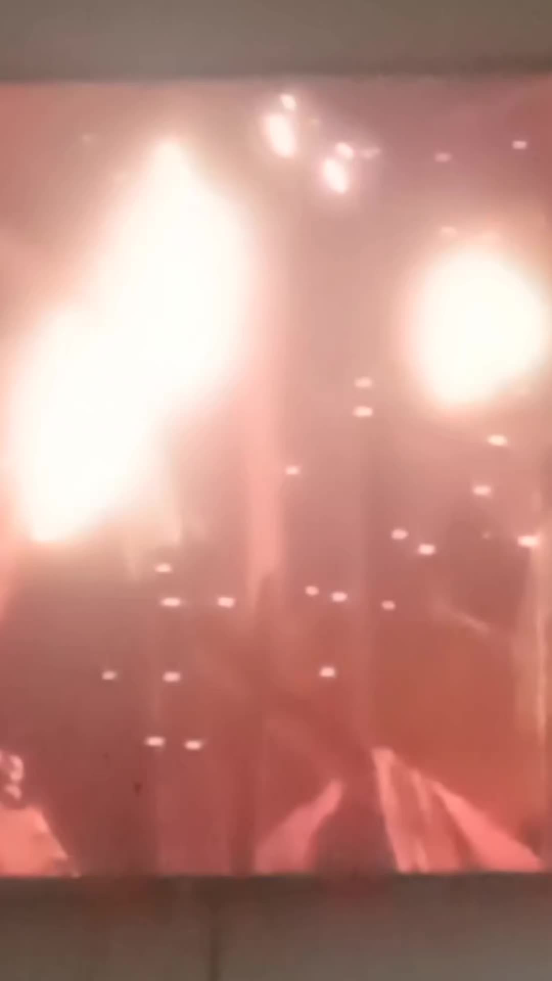 @sirdavidthekillerbee