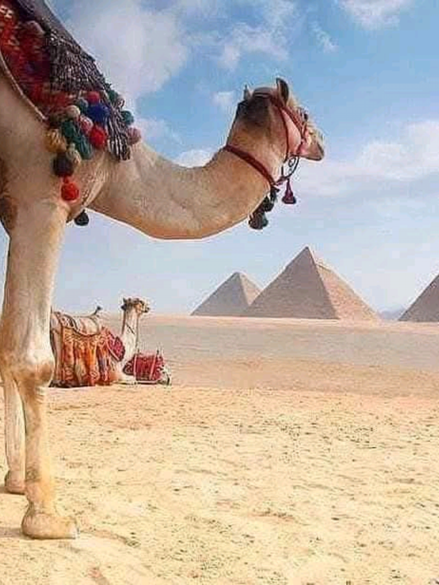 @Egypte voyage tours